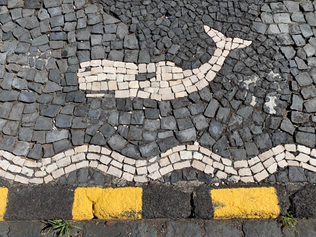 Casa Das Barcas - Th São Roque do Pico エクステリア 写真