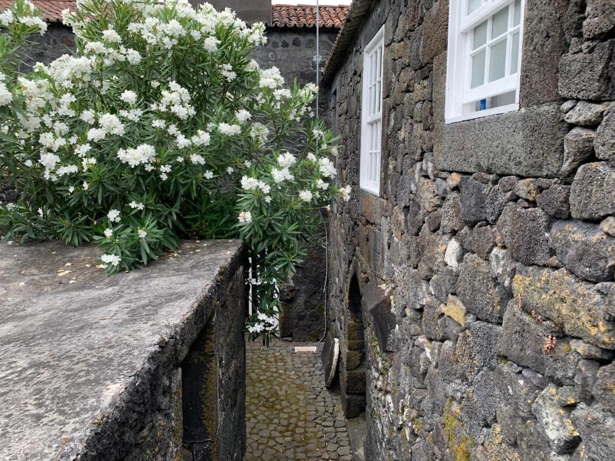 São Roque do Pico Casa Das Barcas - Th Bed & Breakfast エクステリア 写真