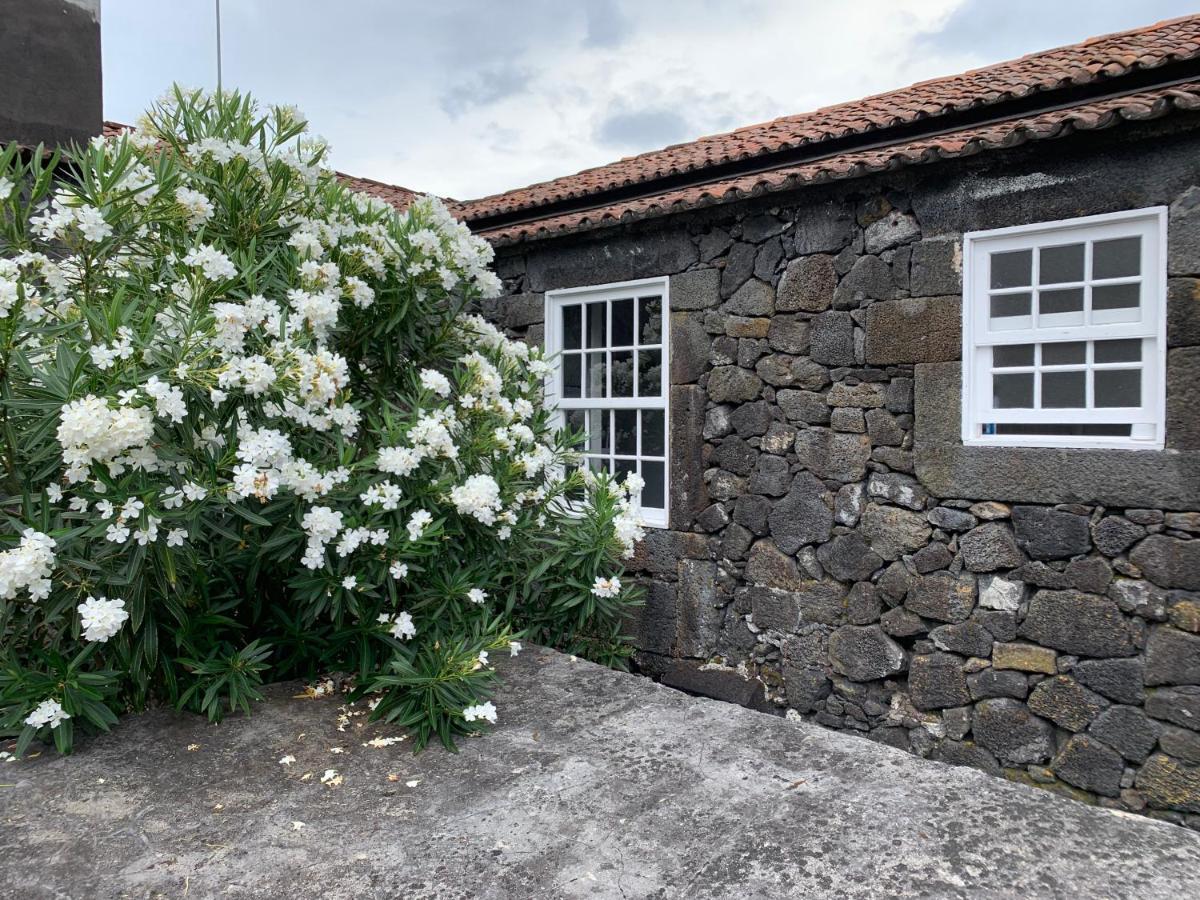 São Roque do Pico Casa Das Barcas - Th Bed & Breakfast エクステリア 写真